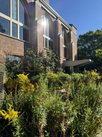 Beach United Garden